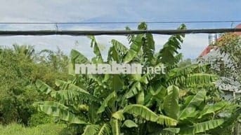 Xoay vốn kinh doanh bán nhanh lô đất Bình chánh 115,5m2