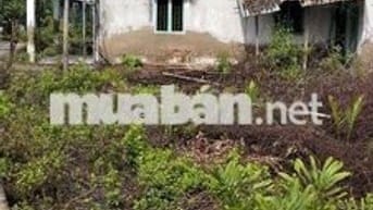 Bán đất Hẻm xe ba gác Đường liên ấp 2-3 Hiệp Phước  DT 1500m2 Thổ cư