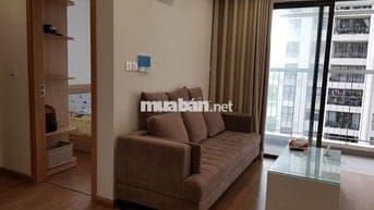 Cho thuê 1,5PN miễn phí dịch vụ dự án D'Capitale Trần Duy Hưng