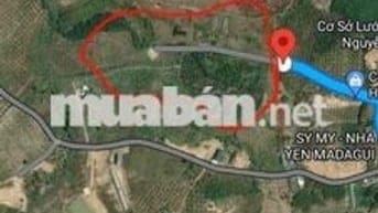 CHÍNH CHỦ GỬI BÁN 33 LÔ ĐẤT TẠI LỘC QUẢNG – BẢO LỘC, LÂM ĐỒNG