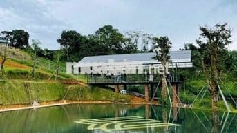 Bán đất tại Lộc Đức, Bảo Lâm, Lâm Đồng, 5 triệu VND, 186m2