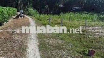 bán lô đất sổ sẳn dt 5x35 cn 175m thổ cư 100% châu thành tây ninh
