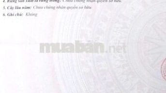 Bán cặp nền mặt tiền đường Thái Thị Hạnh