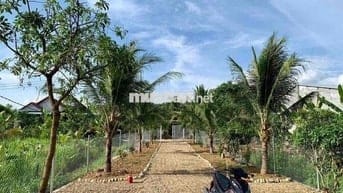 Em Hiền chính chủ cần bán miếng đất kèm căn nhà nhỏ . Tổng diện tích 2