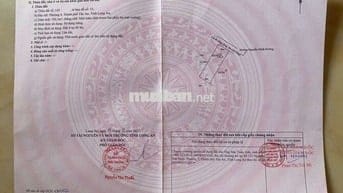 2ty450 Đường Nguyễn Minh Đương - TÂN AN