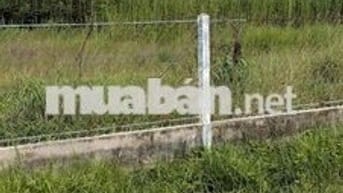 BÁN ĐẤT NÔNG NGHIỆP XÃ LONG THỚI DIỆN TÍCH 3,5HA GIÁ 3,5TR/M2