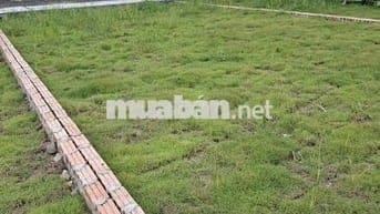 Hòa Lạc-tọa độ vàng kết nối những giá trị tinh hoa.