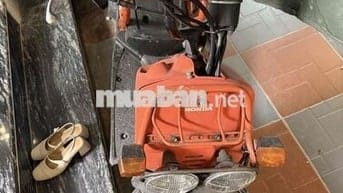 honda zumer nhật bãi