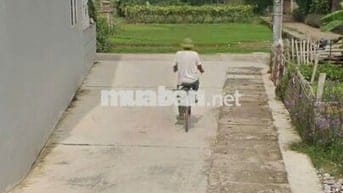 Bán đất tổ 11, Quang Minh, Mê Linh. Lô góc 2 mặt thoáng, đường thông,