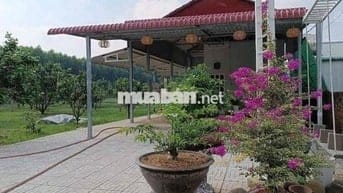 🔥BÁN GẤP LÔ ĐẤT MẶT TIỀN 1500M2 GIÁ 468TR🔥