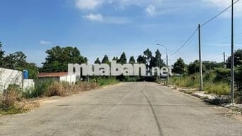 CHỦ NGỘP BÁN GẤP LÔ ĐẤT ĐƯỜNG 13 HÒA LONG - CÓ THỔ CƯ 126M2/1TY550