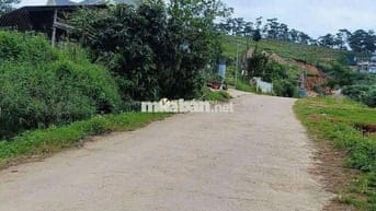 Chủ ngộp BANK cần ra nhanh lô đất mặt tiền KQH MĂNG LIN 751m²