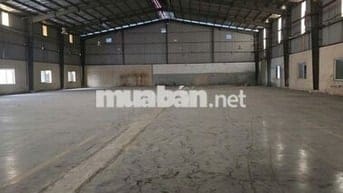 CHO THUÊ NHÀ XƯỞNG ĐẸP KCN ĐỨC HÒA, PHÁP LÝ HOÀN CHỈNH GIAO NGAY