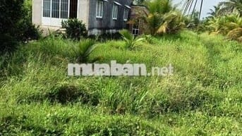 ĐẤT NỀN RẺ!!! TAM PHƯỚC, CHÂU THÀNH, BẾN TRE
