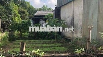 Chỉ 1,6 Tỷ Sở Hữu 125m2 Đất Đẹp