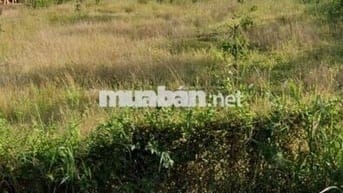 Chính chủ bán gấp đất DT 116,5m2 giá 679tr Tiền Giang