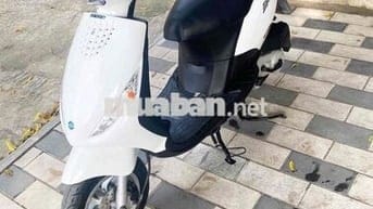 zip piaggio