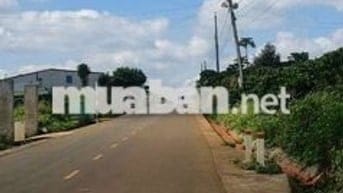 Bán Đất Thổ cư 2 mặt tiền Di Linh, Lâm Đồng