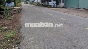 Bán đất mặt tiền đường Tỉnh 865, huyện Tân Phước, Tiền Giang.