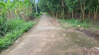 CHỈ 1,4 TỶ SỞ HỮU NGAY LÔ ĐẤT 3500M2 ĐÃ TÁCH RA 03 SỔ