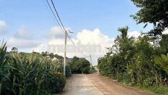 Chính chủ cần bán đất Mê Linh Nam Ban Lâm Hà 234m2 thổ cư 75m2