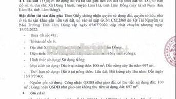 BĐS Xã Đông Thanh, huyện Lâm Hà, Lâm Đồng (Nam Ban Lâm Hà, Lâm Đồng)