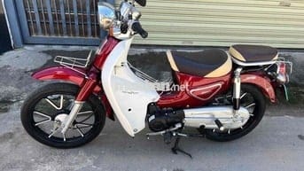 cúp việt thái 50cc