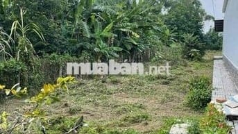 Chính chủ bán đất MT Bến Đường Cát, Tân Thạnh Đông, 560m2, 6.9 Tỷ