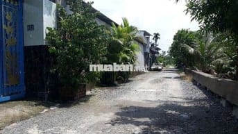 2610 m2 ( 58 x 45) - Có 200 Thổ Cư - 2 Mặt Tiền - Đông Thạnh Hóc Môn