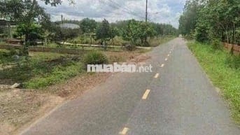 Đất thuộc Hồ Chí Minh vung ven giá rẻ diện tích ngang rộng thổ cư sẵn