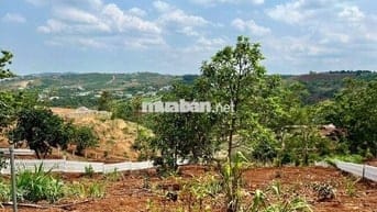 Đất nghỉ dưỡng vùng ven Đà Lạt đã có kè và vườn cây ăn trái