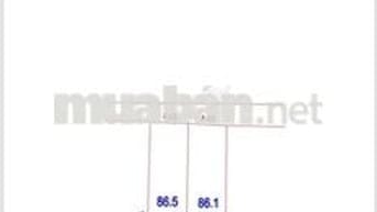 SIÊU PHẨM F0 CHỢ VĨNH LỘC THƯ PHÚ, CHƯƠNG DƯƠNG.