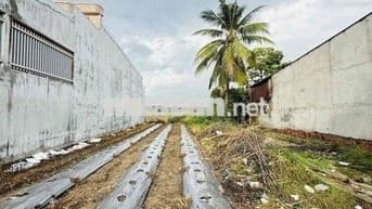 ĐẤT MẶT TIỀN – ĐỨC HOÀ – DT: 343m2 ( 11 X 34 ) - ĐẤT Ở - SỔ HỒNG VUÔNG