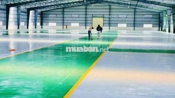 🔴 Xưởng 6000m2, đường quốc lộ 50, xã Mỹ lệ, huyện cần đước, Long An