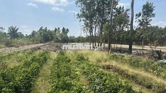 BÁN 6 THỬA ĐẤT MT QL NAM SÔNG HẬU QL 91C-CẦN THƠ (DC MỚI) – SÓC TRĂNG