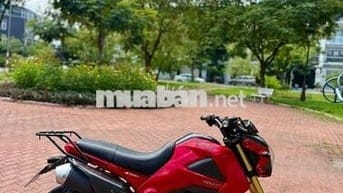 Moto Mini Honda Msx 125