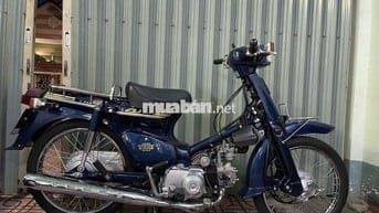 Cub 50 2023