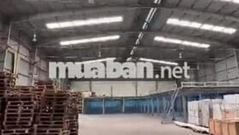Kho diện tích lớn lên đến 1200m2 cần cho thuê gấp ở Đường Đào Trí