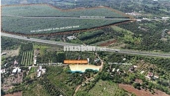 Cơ Hội Vàng- Tiềm Năng Sinh Lời Cao Quá RẺ- Quá Đẹp