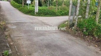 Đất Mặt Tiền gần trường học, chợ ủy ban TT Huỳnh Hữu Nghĩa