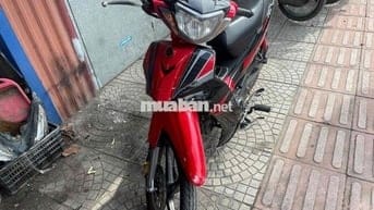 ớt bản đời cao chất đẹp