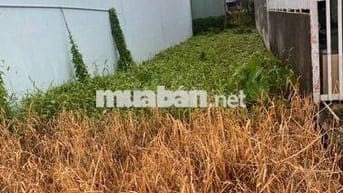 Ngay đường Trương Văn bang, Cần Đước, Long An, 100m2, đất thổ cư