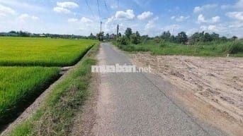 Mặt tiền đường nhựa liên ấp 2,4 long sơn cần Đước Long An