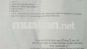 Chính Chủ Cần Bán Đất Ruộng Tân Nhựt Khu Kiến Vàng