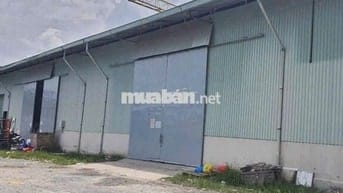 Kho đẹp ở Đường Gò Ô Môi cần cho thuê diện tích 200m2 trần thoáng