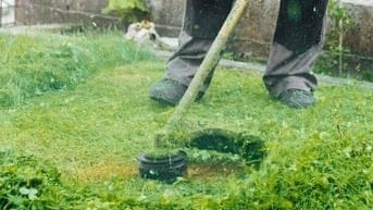 Bảo dưỡng cảnh quan trọn gói Đồng Nai 2025 – Chuyên nghiệp & tiết kiệm
