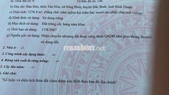 5.2 sào đất gần trường Tiểu học Sông Bình chỉ 1.25 tỷ