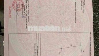 NHÀ VƯỜN 613M² – VĨNH THANH, NHƠN TRẠCH – GIÁ CHỈ 1 TỶ 600 TRIỆU