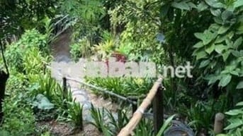 Chị em cần bán gấp lô đất vườn view hồ trị an giá rẻ 733tr tại ĐQ