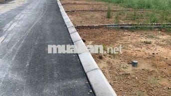 Còn 7 Lô Đất 100-120m Ngay KCN Tam Dương, Vĩnh Phúc, Chỉ 1.x tỷ